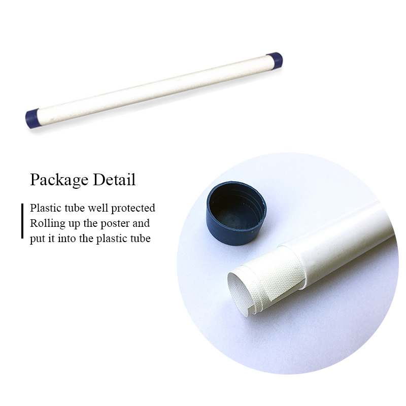 Canvas Painting Wall Art Colorful Tropical Cactus Poster Nordic Posters Prints - 4