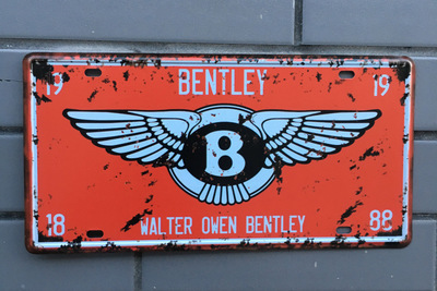 Vintage License Plate Wall Art Craft Metal Painting Iron Bar Home 15x30cm Sticker Tin Sign - 6