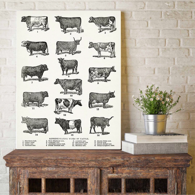 Breeds Cow Canvas Poster Farmhouse Wall Art Print Cattle Painting Vintage Picture - 2