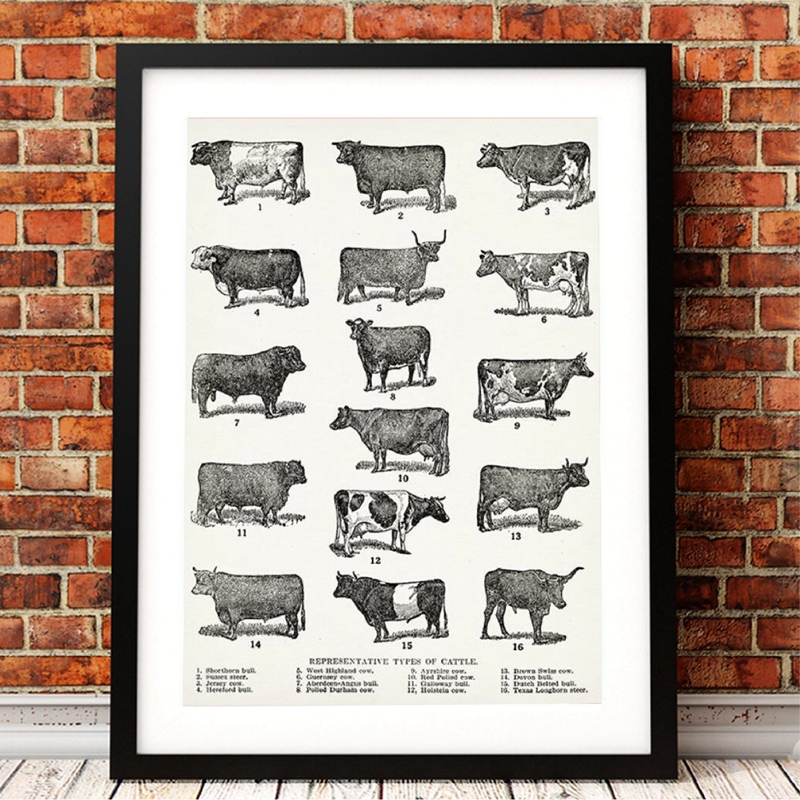 Breeds Cow Canvas Poster Farmhouse Wall Art Print Cattle Painting Vintage Picture - 3