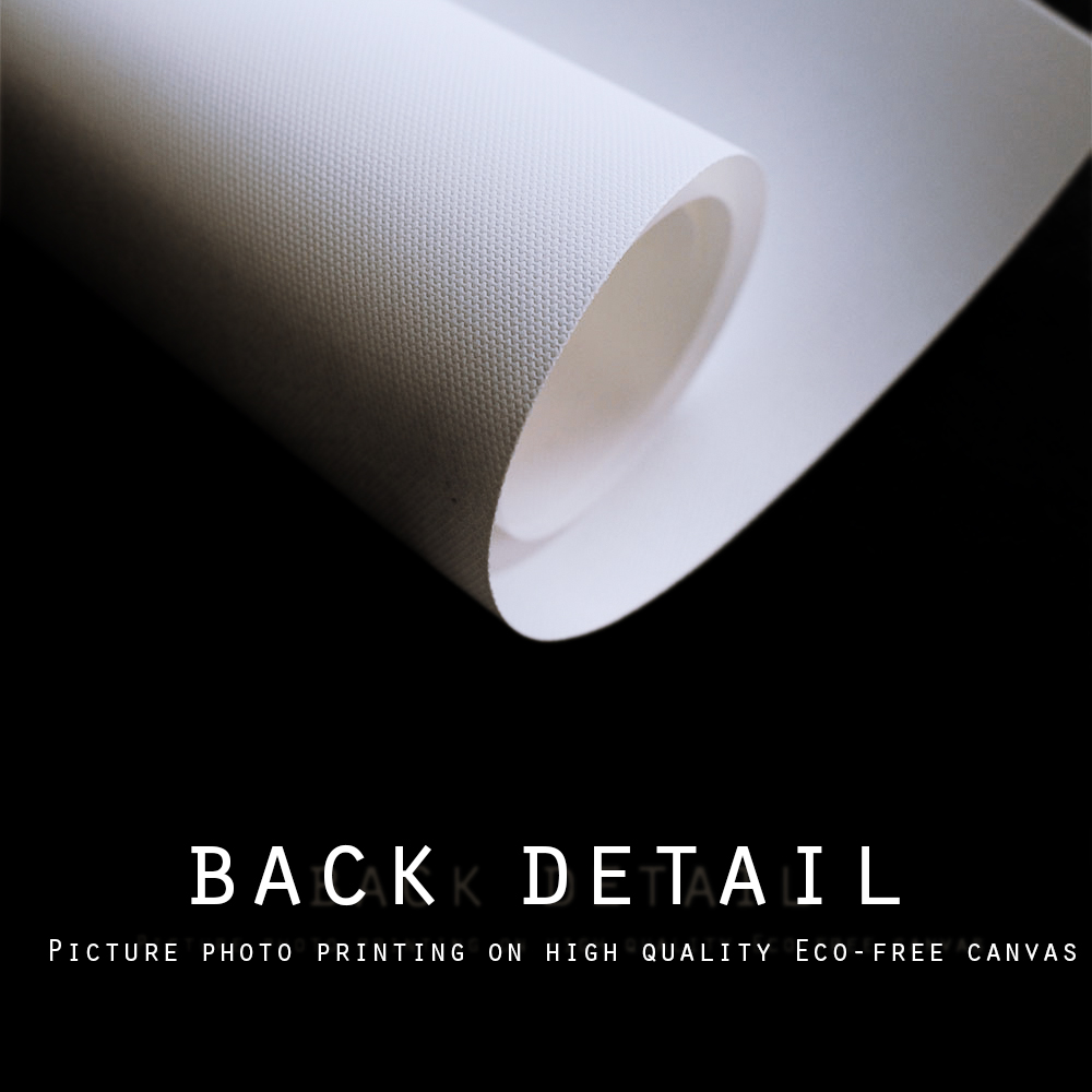 Watercolor Cinderella's Castle Fairy Tale Posters Prints Canvas Painting Wall Art Pictures - 4