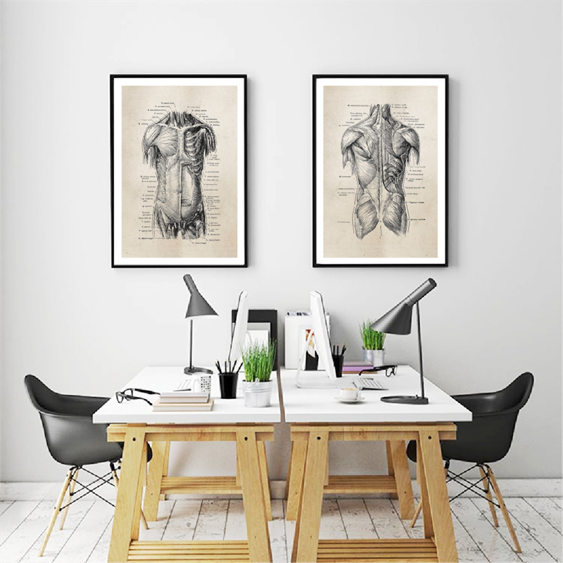 Vintage Human Anatomy Canvas Art Poster Prints Medical Clinic Wall Decor For Doctors - 1