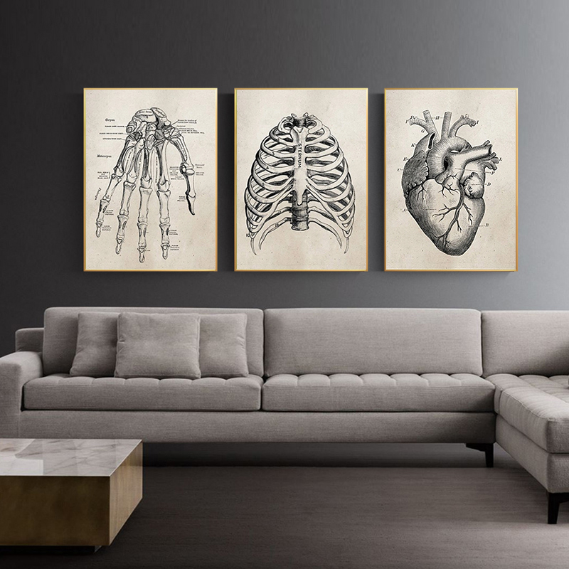 Medical Doctor Clinic Wall Pictures Human Anatomy Science Vintage Posters Art Prints Canvas Painting - 2