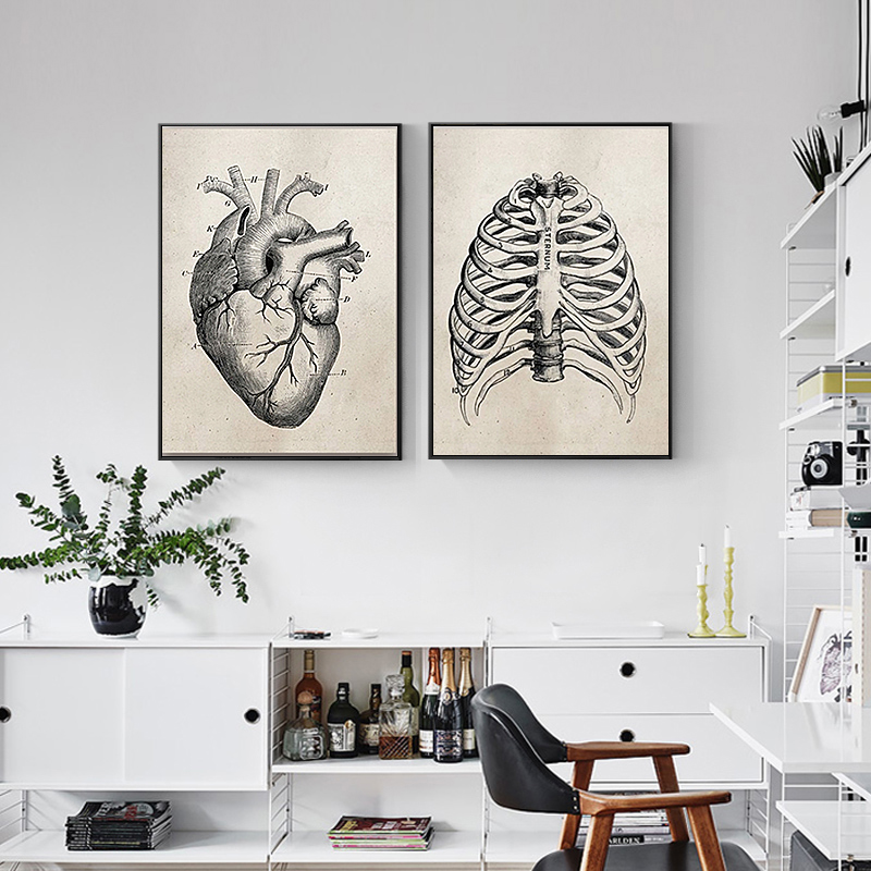 Medical Doctor Clinic Wall Pictures Human Anatomy Science Vintage Posters Art Prints Canvas Painting - 3