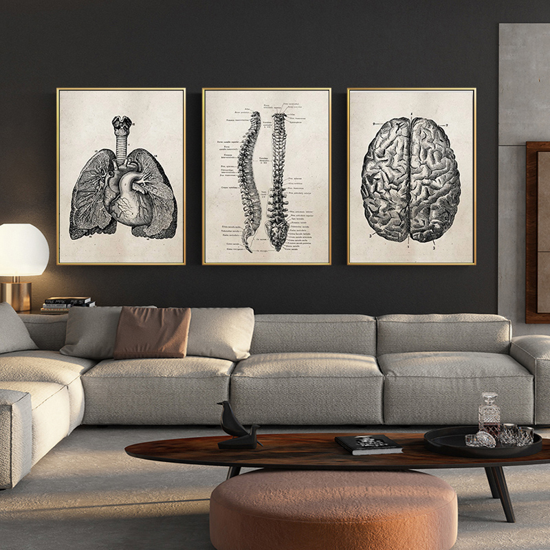 Medical Doctor Clinic Wall Pictures Human Anatomy Science Vintage Posters Art Prints Canvas Painting - 5