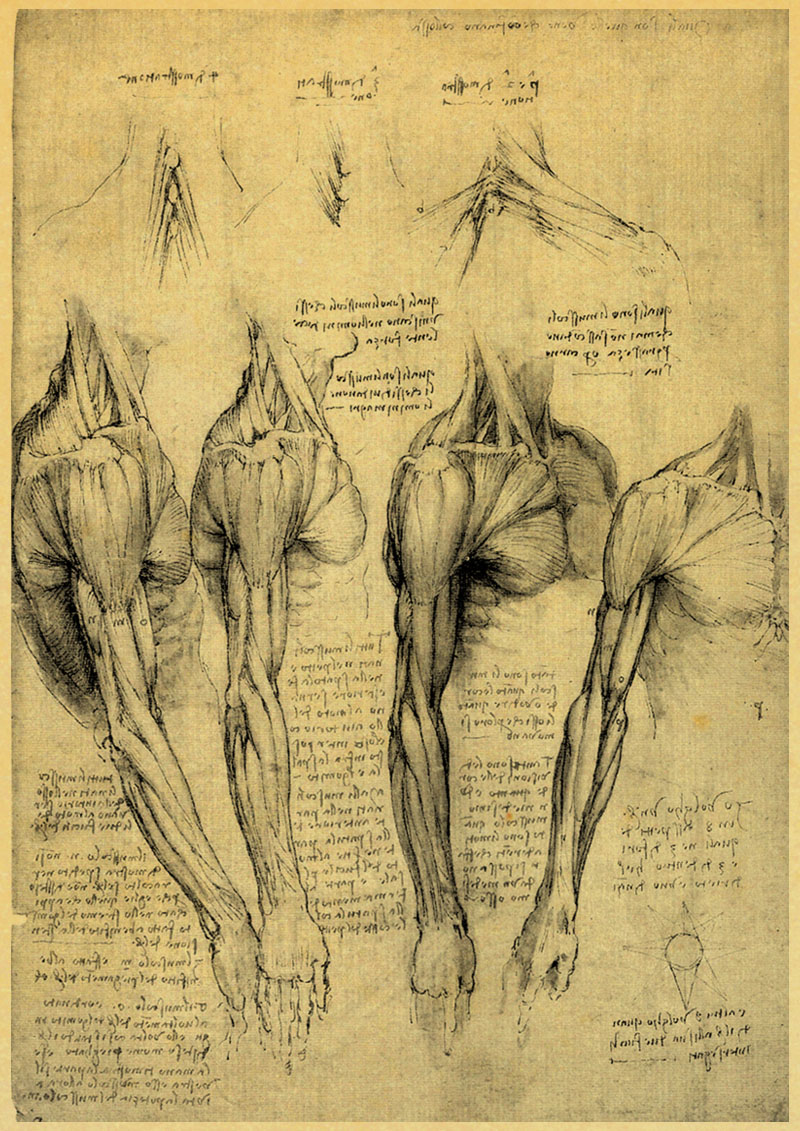 Vintage Posters Leonardo Da Vinci Picture Poster Art Home Decoration Wall - 4