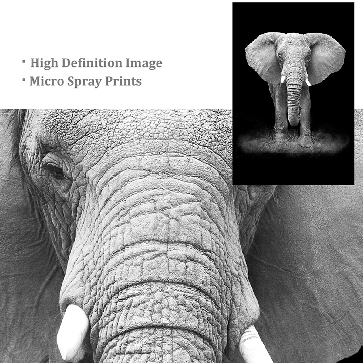 Henri Matisse Canvas Print Vintage Poster Painting Wall Art Living Room Home Decoration - 6