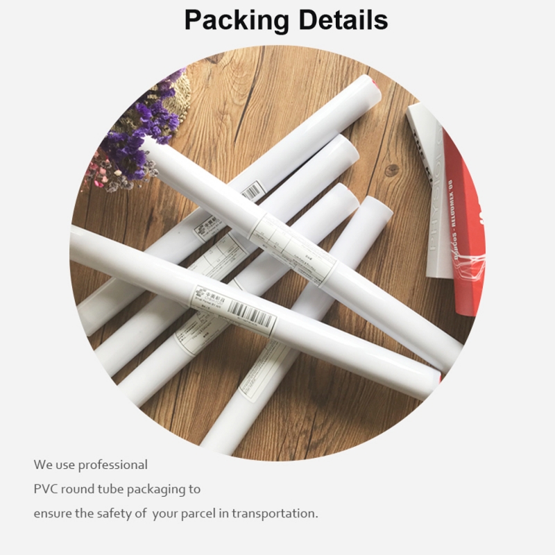 Colorful Lion Graffiti Canvas Painting Abstract Animal Wall Art Posters And Prints Cuadros Decorative Pictures For Home Design - 6