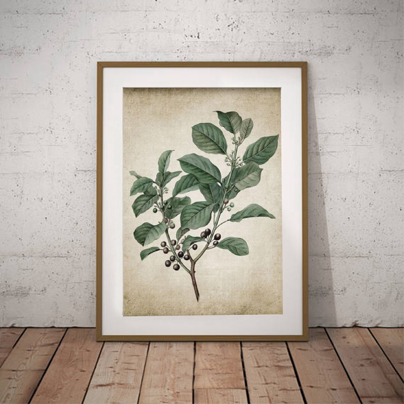 Green Plant Wall Art Prints Retro Poster Vintage Leaves Canvas Painting Print Botanical Decor Picture Home Decoration - 2