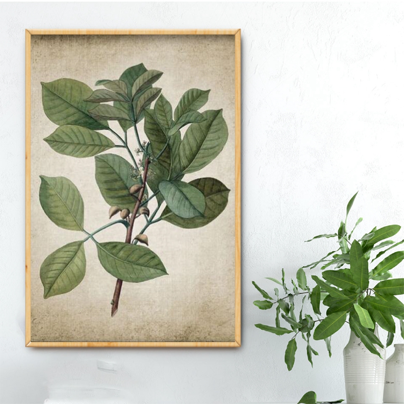 Green Plant Wall Art Prints Retro Poster Vintage Leaves Canvas Painting Print Botanical Decor Picture Home Decoration - 3