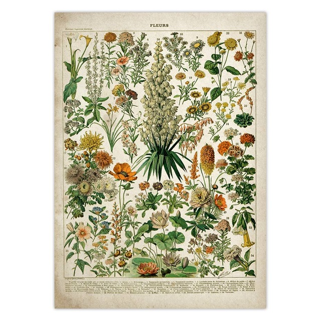 Vintage Flower Poster Antique Floral Print Art Botanical Educational Mushroom Wall Home Decor Kraft Paper - 2