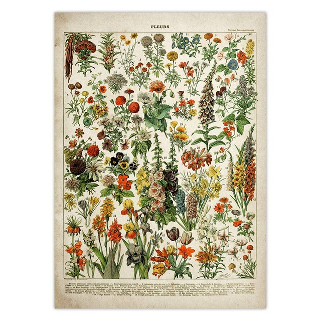 Vintage Flower Poster Antique Floral Print Art Botanical Educational Mushroom Wall Home Decor Kraft Paper - 5