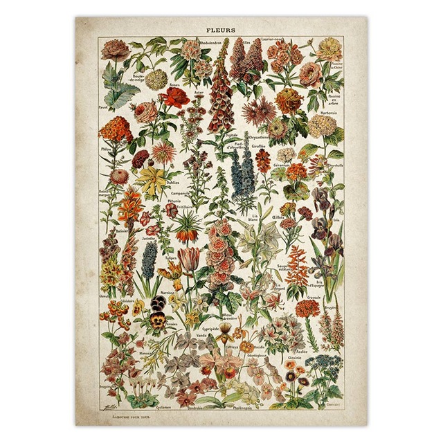 Vintage Flower Poster Antique Floral Print Art Botanical Educational Mushroom Wall Home Decor Kraft Paper - 6