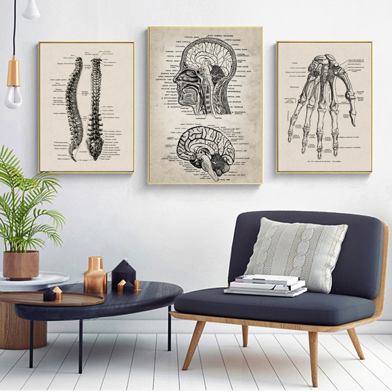 Human Anatomy Wall Art Hospital Vintage Posters And Prints Doctor Office Decoration Skeleton Anatomical Skull Canvas Painting - 3