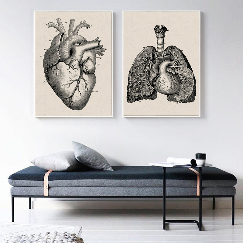 Human Anatomy Wall Art Hospital Vintage Posters And Prints Doctor Office Decoration Skeleton Anatomical Skull Canvas Painting - 4