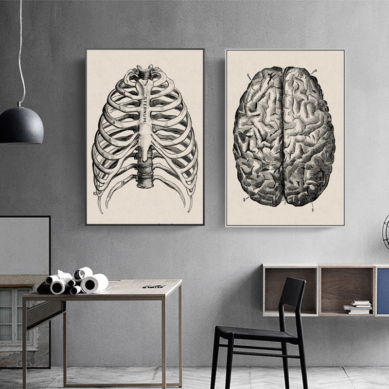 Human Anatomy Wall Art Hospital Vintage Posters And Prints Doctor Office Decoration Skeleton Anatomical Skull Canvas Painting - 5